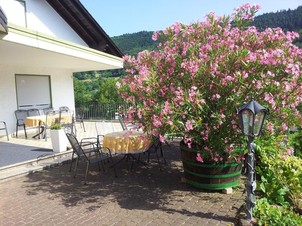 Ferienweingut-liebfried Nehren (Rhineland-Palatinate)