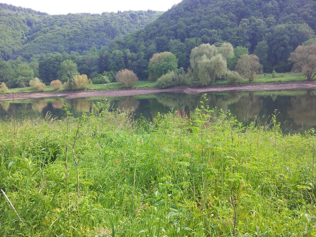 Gasthof Ferienweingut-liebfried
